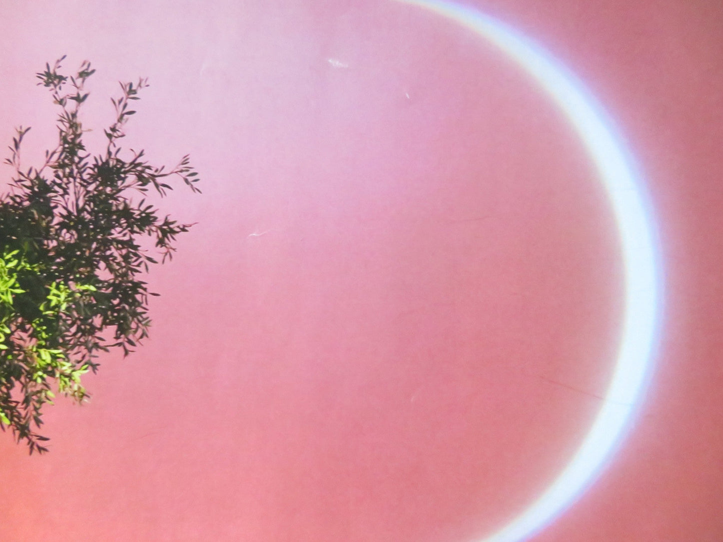 ROYAL OPERA HOUSE: BARBER OF SEVILLE UK QUAD ROLLED POSTER A. FILONCZYK 2023 Rendezvous Cinema Movie posters