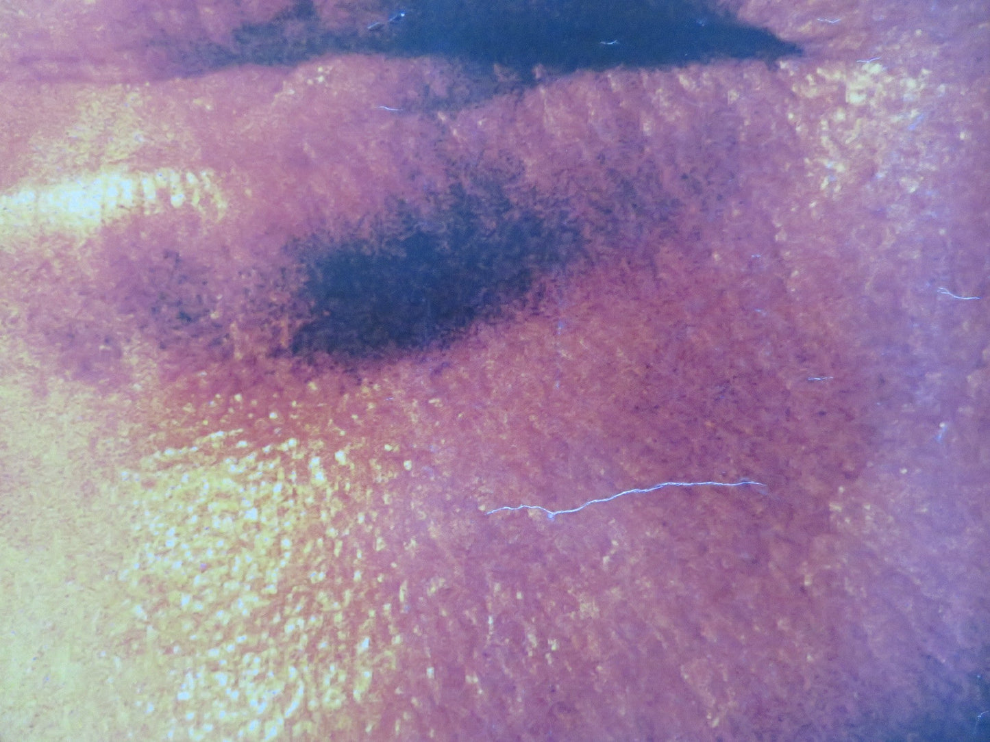 RULES OF ENGAGEMENT UK QUAD ROLLED POSTER TOMMY LEE JONES SAMUEL L. JACKSON 2000 Rendezvous Cinema Movie posters