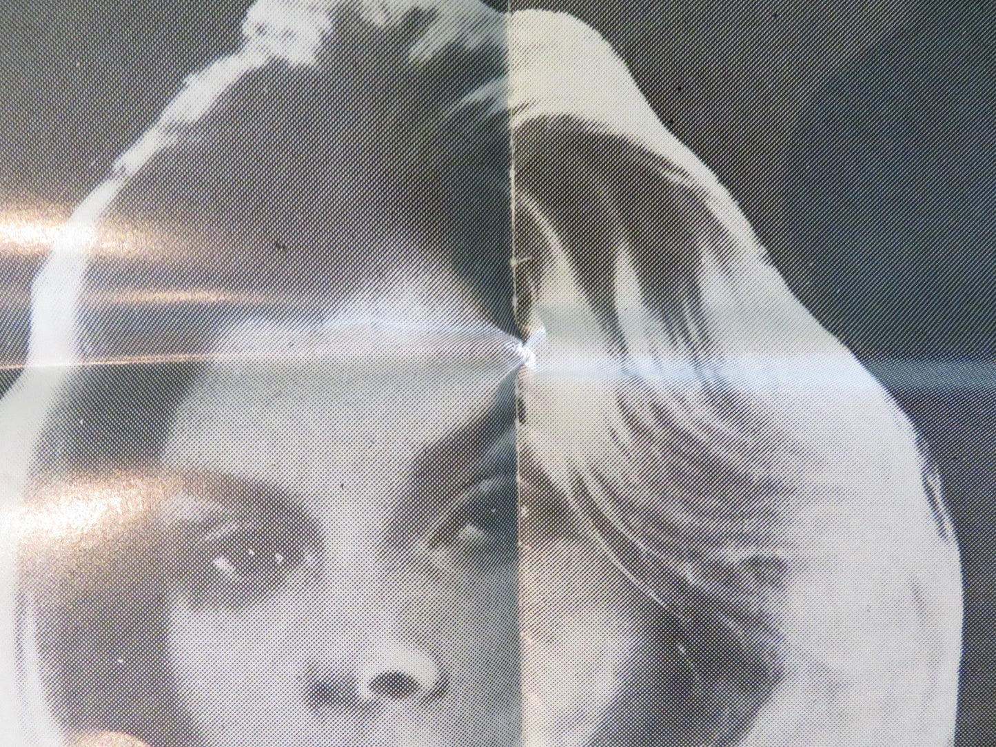 RUNNING WITH THE DEVIL FOLDED US ONE SHEET POSTER SEAN KENNY DONNA STANLEY 1973 Rendezvous Cinema Movie posters