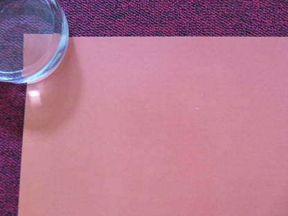 RYE LANE - B UK QUAD ROLLED POSTER DAVID JONSSON VIVIAN OPARAH 2023 Rendezvous Cinema Movie posters