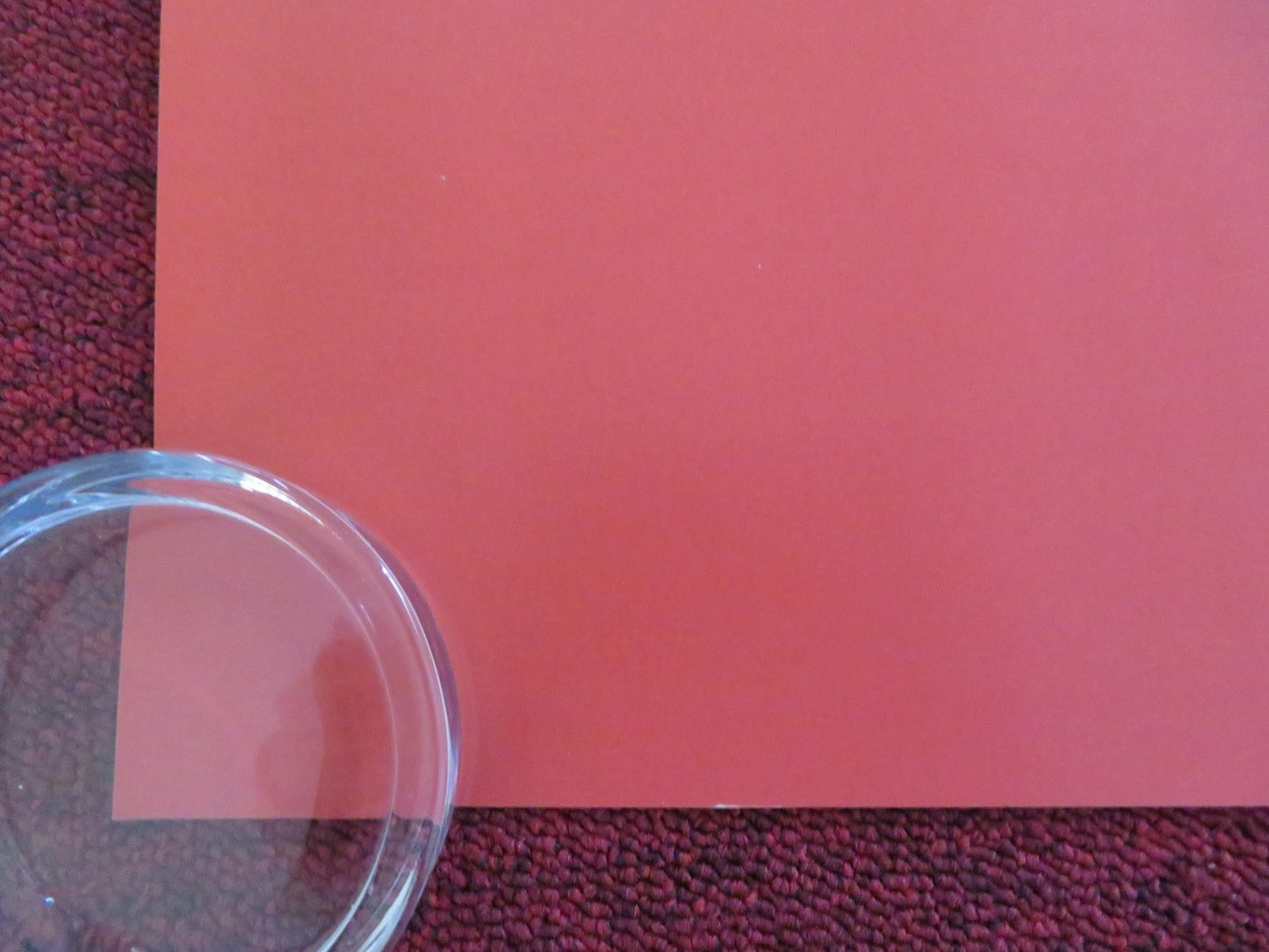 RYE LANE UK QUAD ROLLED POSTER DAVID JONSSON VIVIAN OPARAH 2023 Rendezvous Cinema Movie posters