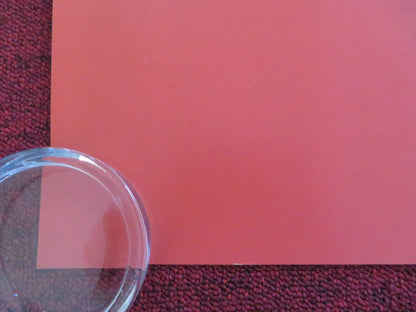 RYE LANE UK QUAD ROLLED POSTER DAVID JONSSON VIVIAN OPARAH 2023 Rendezvous Cinema Movie posters