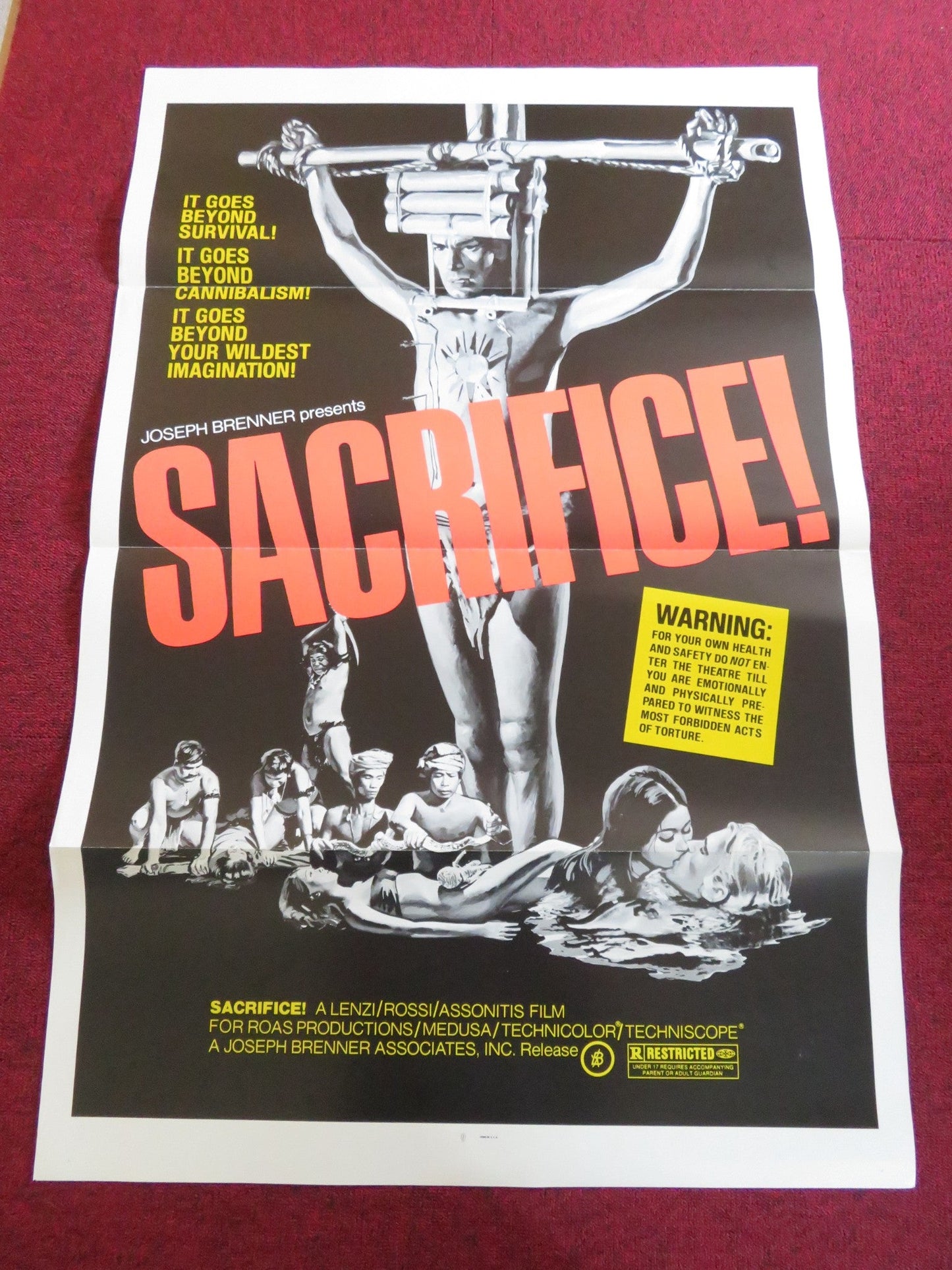 SACRIFICE - B US TRI FOLDED ONE SHEET ROLLED POSTER IVAN RASSIMOV ME ME LAY 1973 Rendezvous Cinema Movie posters