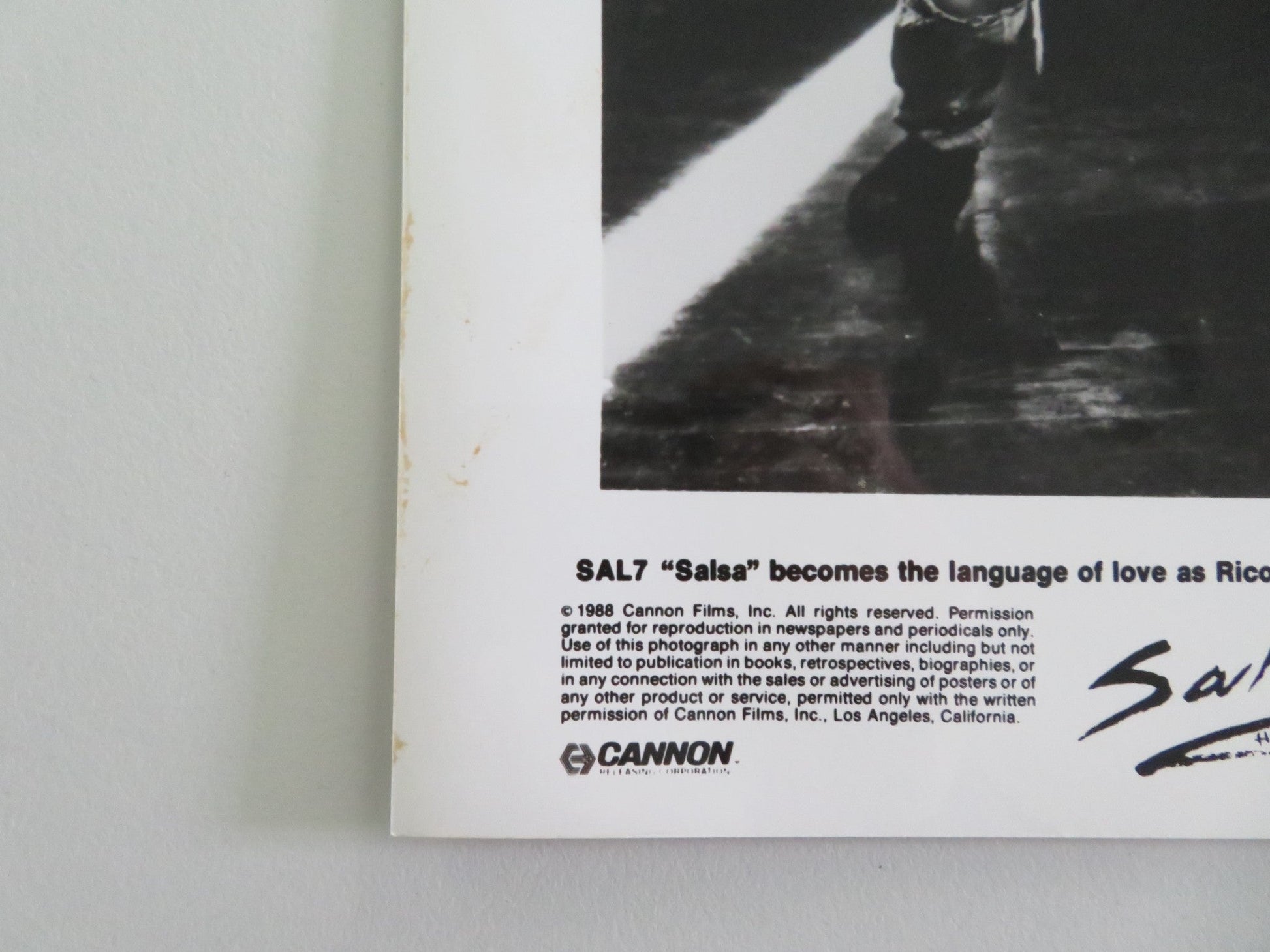 SALSA MOVIE STILL PHOTO LOT OF 12 CANNON DRACO ROSA MAGALI ALVARADO 1988 Movie posters