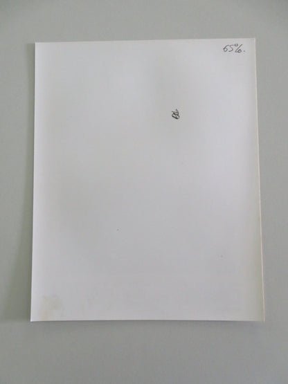 SALSA MOVIE STILL PHOTO LOT OF 12 CANNON DRACO ROSA MAGALI ALVARADO 1988 Movie posters