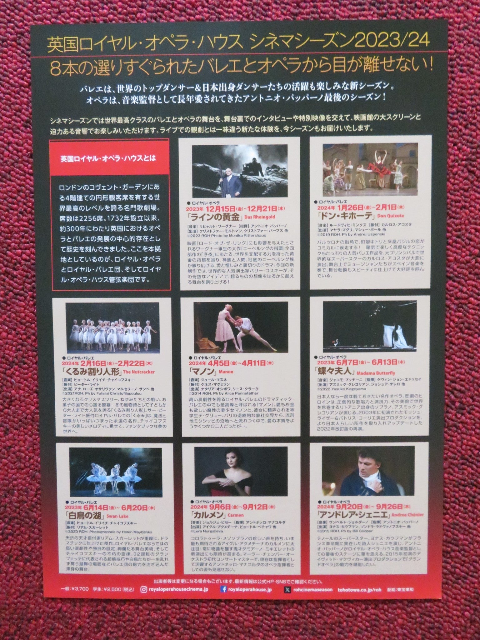 SATOSHI NAKAMURA JAPANESE CHIRASHI (B5) POSTER ANNA ROSE O'SULLIVAN 2024 Rendezvous Cinema Movie posters