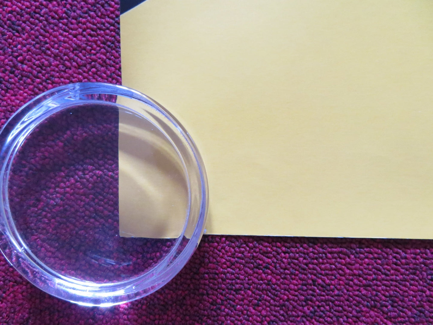 SAUSAGE PARTY UK QUAD ROLLED POSTER ALISTAIR ABELL IRIS APATOW 2016 Rendezvous Cinema Movie posters