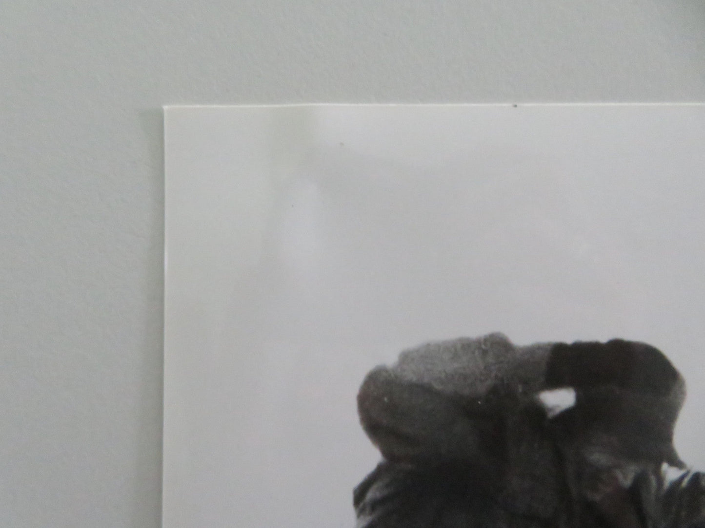 SCANNERS - B MOVIE STILL PHOTO LOT OF 5 STEPHEN LACK PATRICK MCGOOHAN 1981 Movie posters