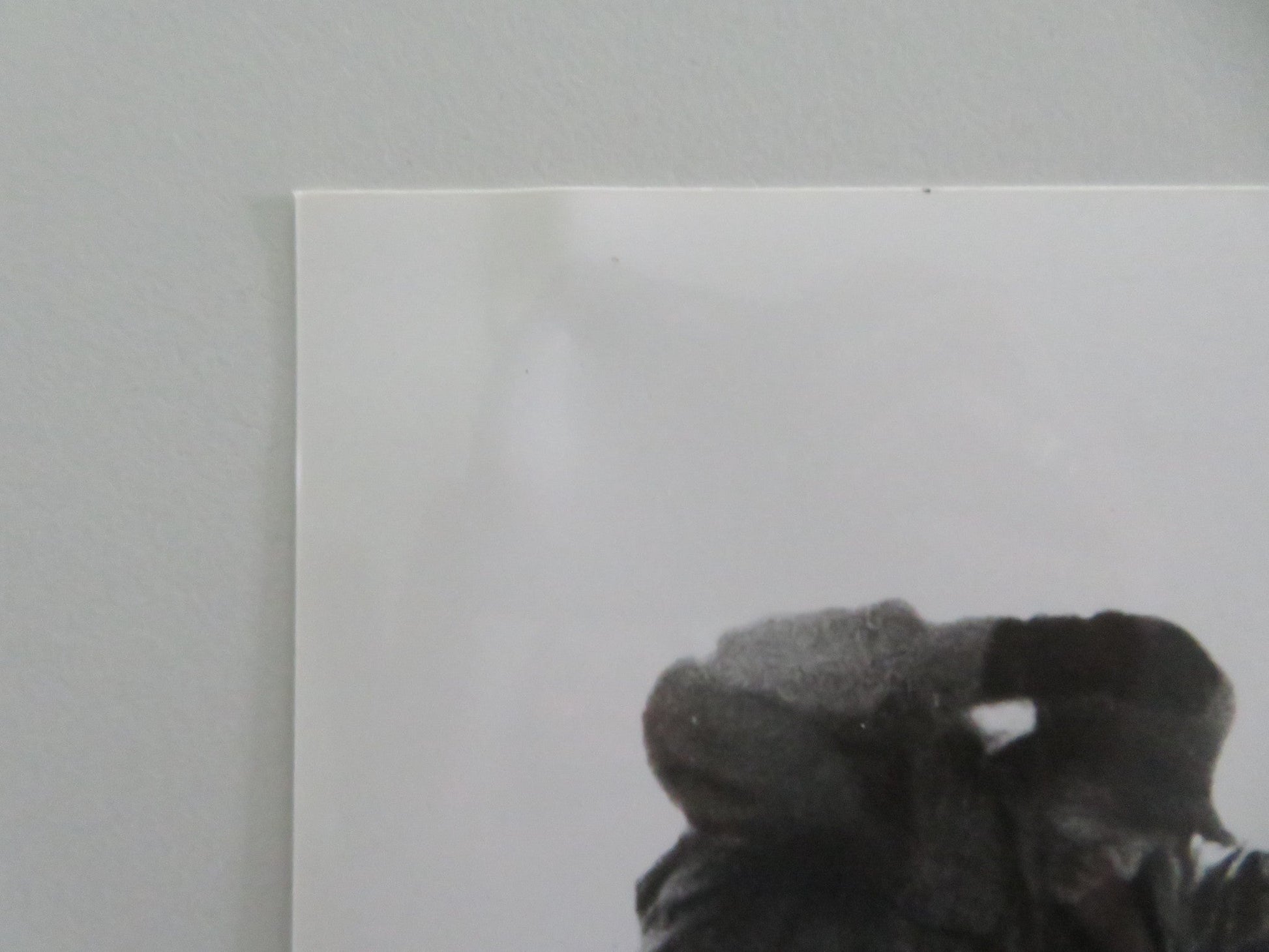 SCANNERS - B MOVIE STILL PHOTO LOT OF 5 STEPHEN LACK PATRICK MCGOOHAN 1981 Movie posters