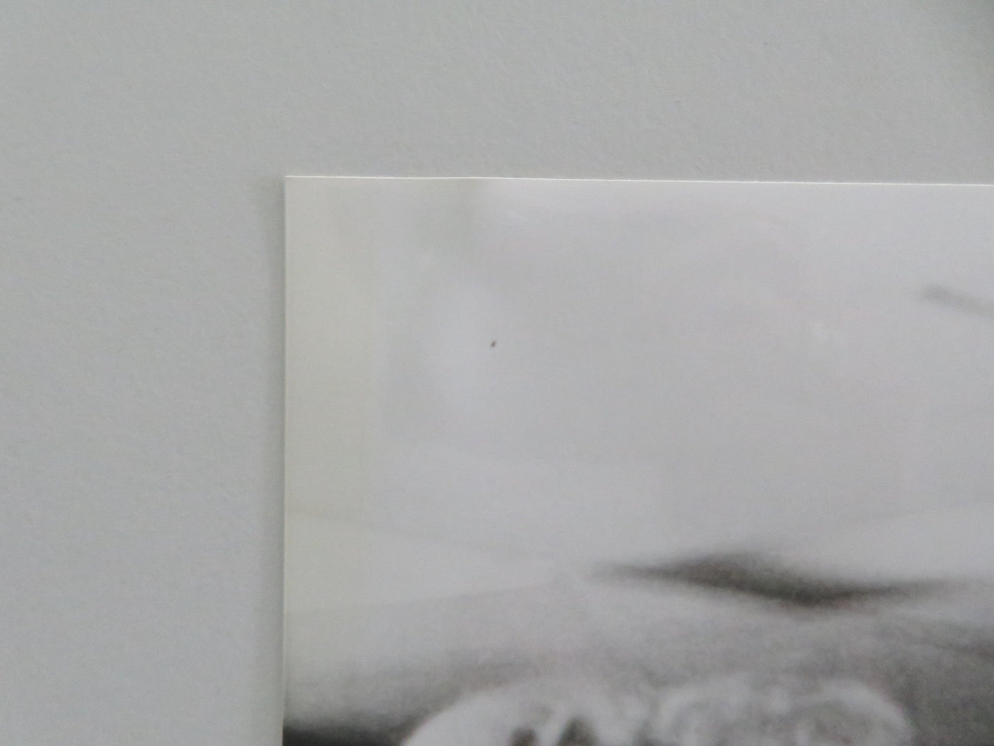 SCANNERS - B MOVIE STILL PHOTO LOT OF 5 STEPHEN LACK PATRICK MCGOOHAN 1981 Movie posters