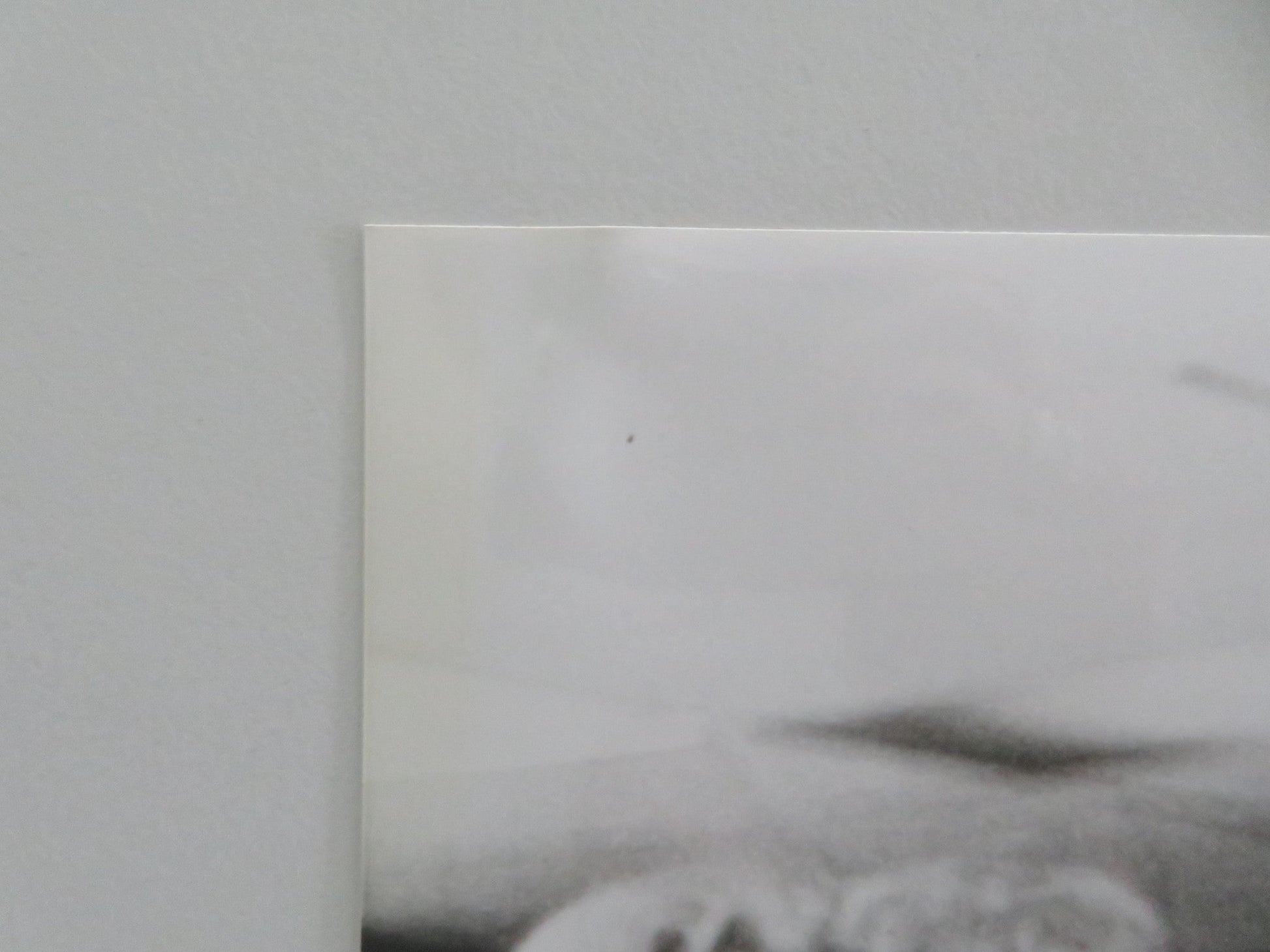 SCANNERS - B MOVIE STILL PHOTO LOT OF 5 STEPHEN LACK PATRICK MCGOOHAN 1981 Movie posters