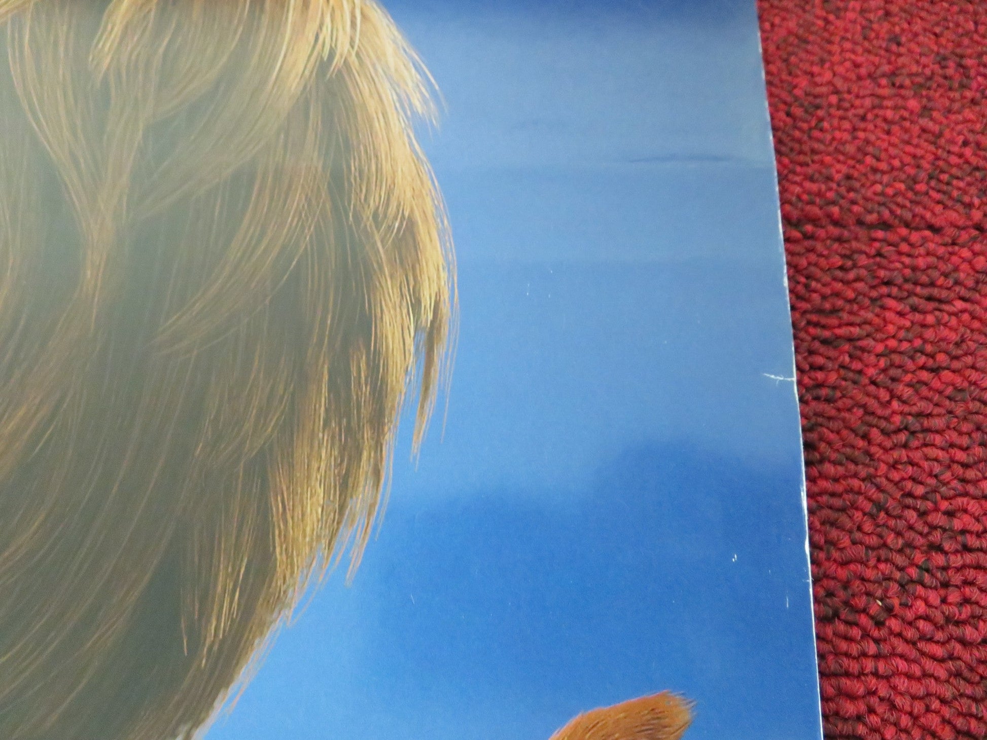 SCOOB! US ONE SHEET ROLLED POSTER WILL FORTE MARK WAHLBERG 2020 Movie posters