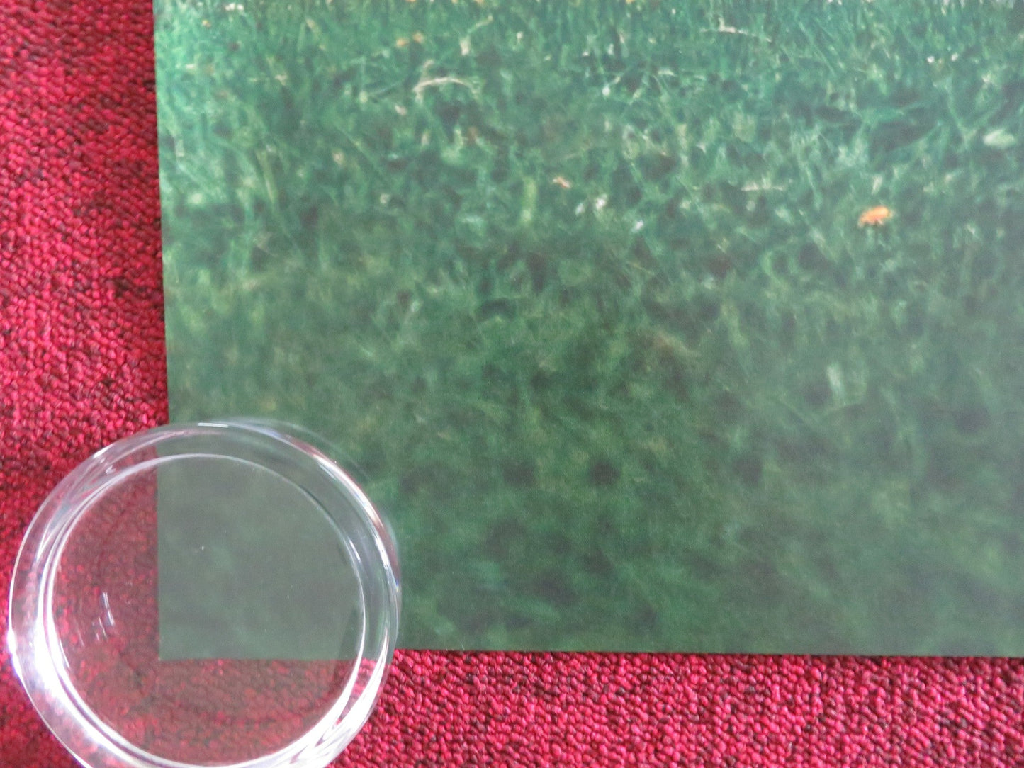 SCRAPPER UK QUAD ROLLED POSTER LOLA CAMPBELL ALIN UZUN 2023 Movie posters