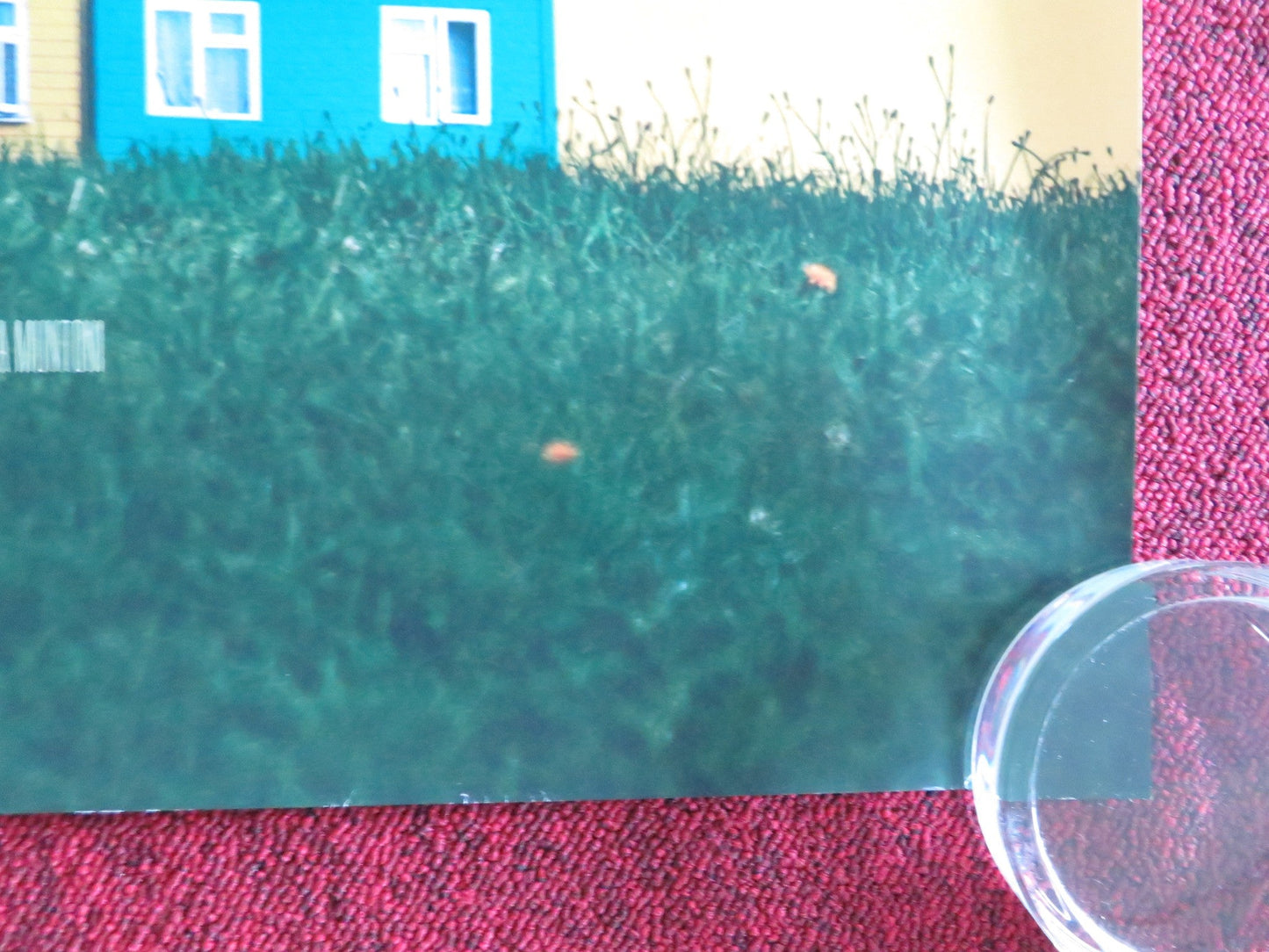 SCRAPPER UK QUAD ROLLED POSTER LOLA CAMPBELL ALIN UZUN 2023 Movie posters