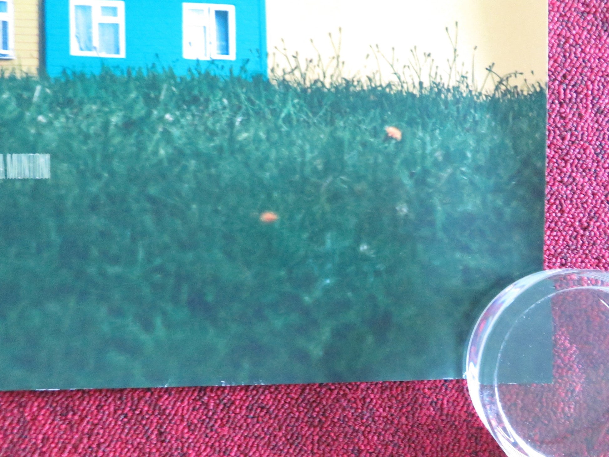 SCRAPPER UK QUAD ROLLED POSTER LOLA CAMPBELL ALIN UZUN 2023 Movie posters