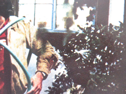 SEEMS LIKE OLD TIMES - D ITALIAN FOTOBUSTA POSTER GOLDIE HAWN CHEVY CHASE 1980 Rendezvous Cinema Movie posters