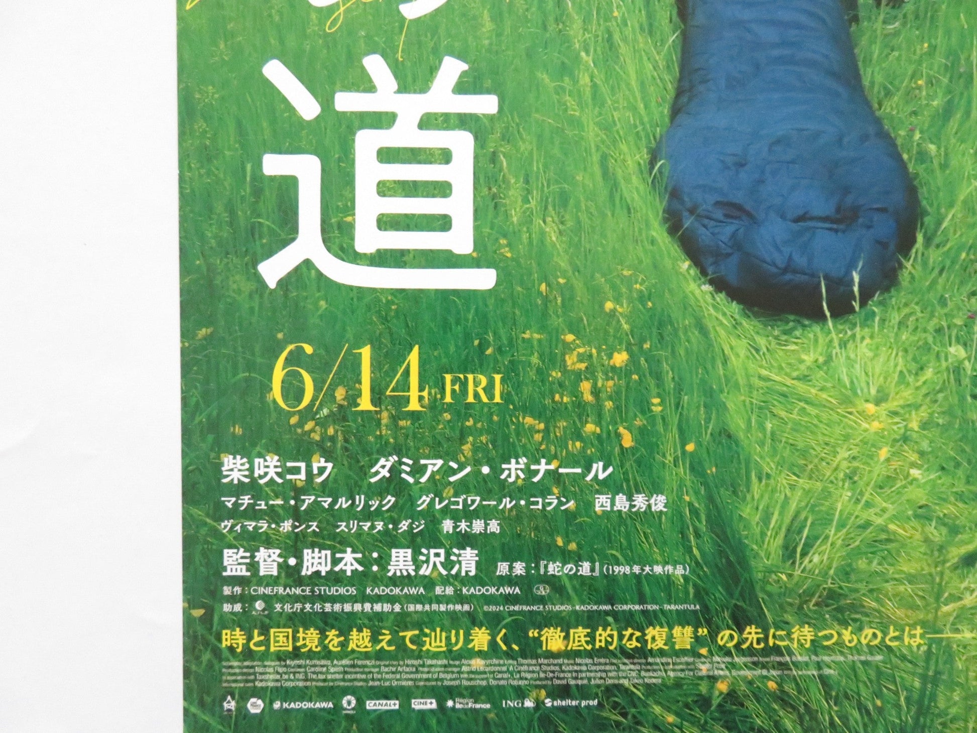 SERPENTS PATH JAPANESE CHIRASHI (B5) POSTER MATHIEU AMALRIC MUNETTAKA AOKI 2024 Rendezvous Cinema Movie posters