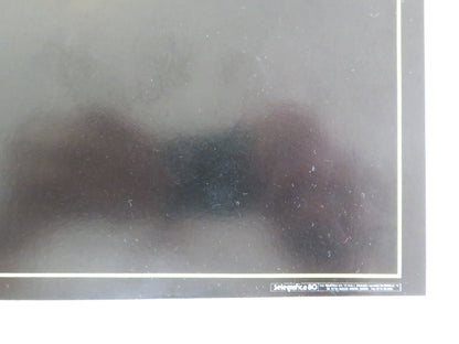 SEX AND EROS - A ITALIAN FOTOBUSTA POSTER LILY LI LEBY NGAI DRAGON LUK 1994 Movie posters