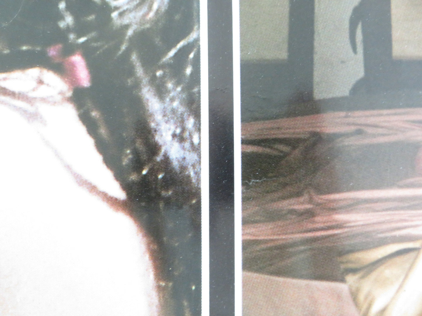 SEX AND EROS - A ITALIAN FOTOBUSTA POSTER LILY LI LEBY NGAI DRAGON LUK 1994 Movie posters