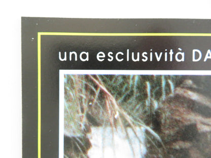 SEX AND EROS - C ITALIAN FOTOBUSTA POSTER LILY LI LEBY NGAI DRAGON LUK 1994 Movie posters