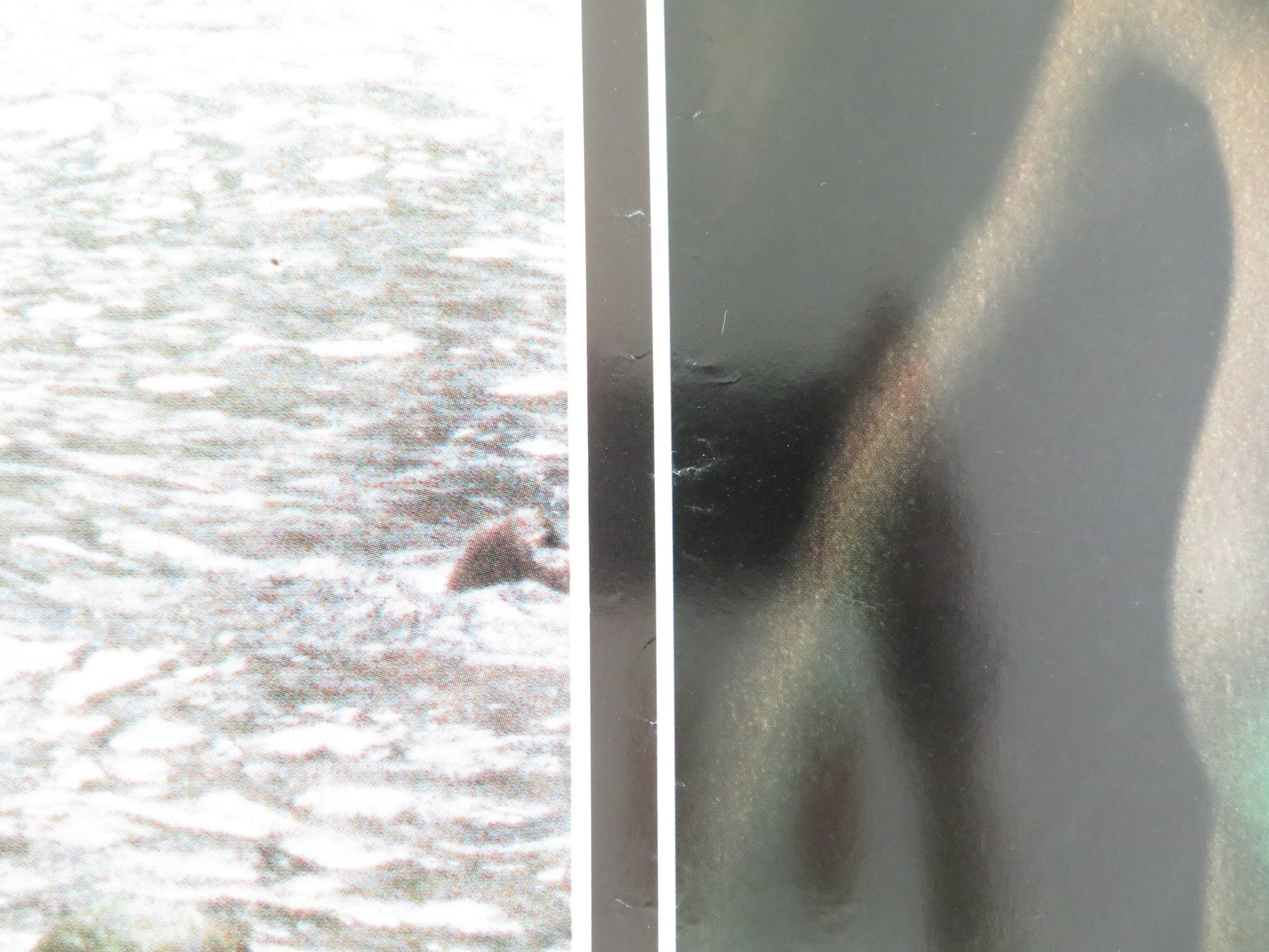 SEX AND EROS - C ITALIAN FOTOBUSTA POSTER LILY LI LEBY NGAI DRAGON LUK 1994 Movie posters