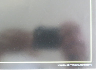 SEX AND EROS - C ITALIAN FOTOBUSTA POSTER LILY LI LEBY NGAI DRAGON LUK 1994 Movie posters