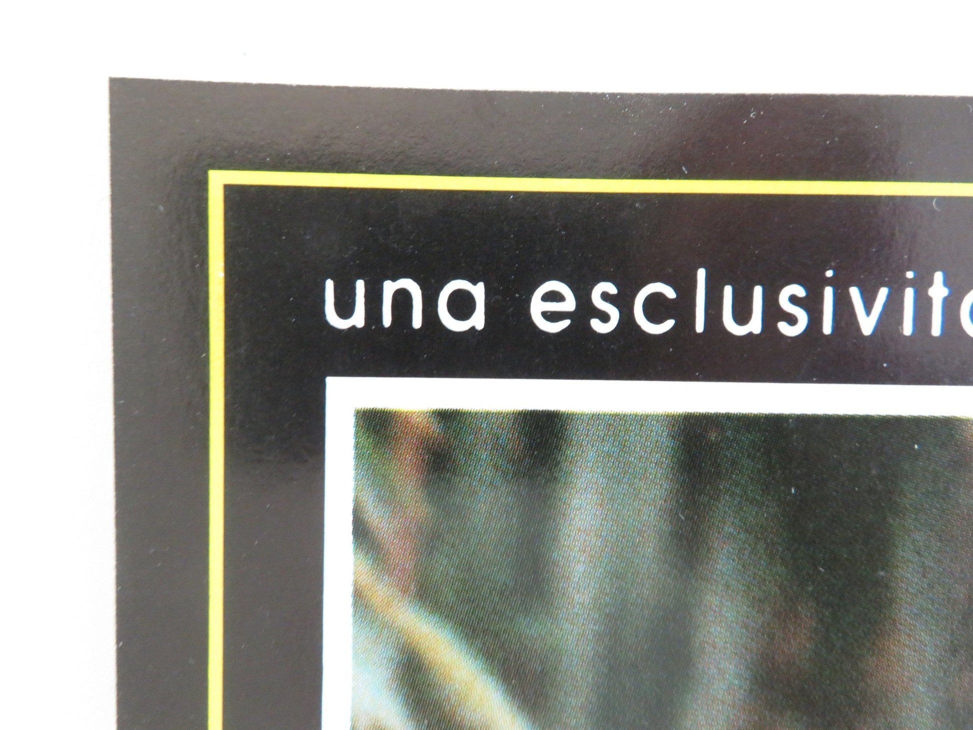 SEX AND EROS - D ITALIAN FOTOBUSTA POSTER LILY LI LEBY NGAI DRAGON LUK 1994 Movie posters