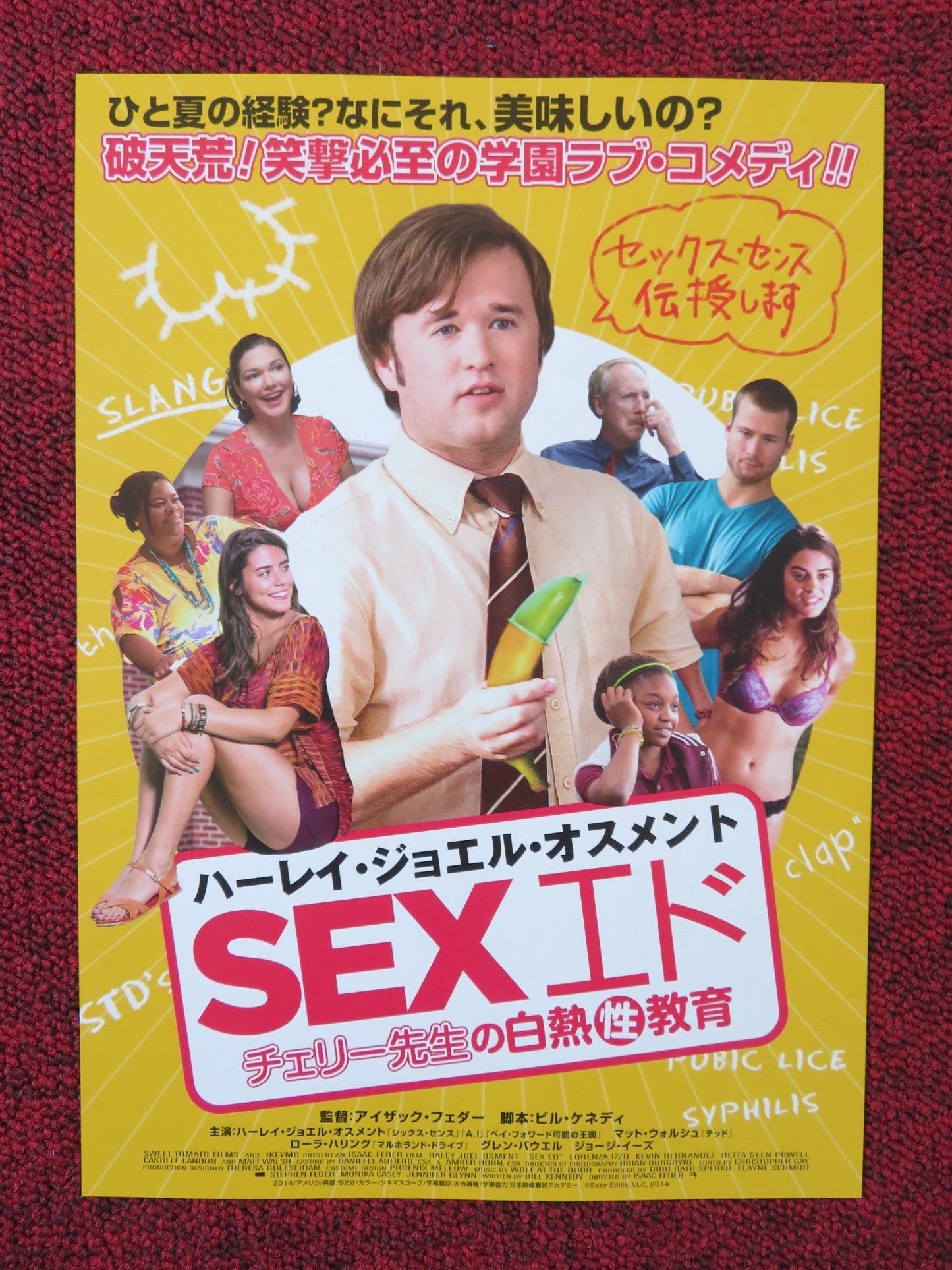 SEX ED JAPANESE CHIRASHI (B5) POSTER HALEY JOEL OSMENT LORENZA IZZO 2014 Rendezvous Cinema Movie posters