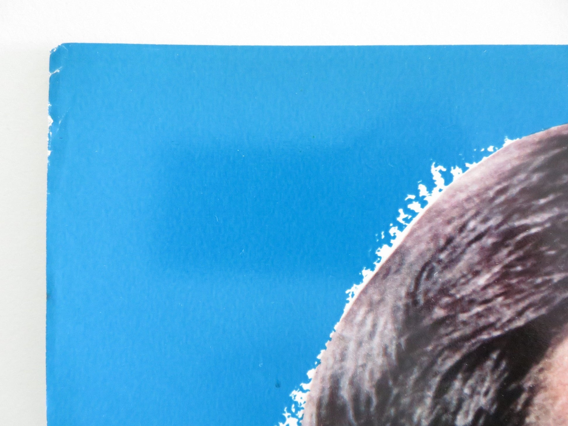 SHAMUS - A ITALIAN FOTOBUSTA POSTER BURT REYNOLDS DYAN CANNON 1973 Rendezvous Cinema Movie posters