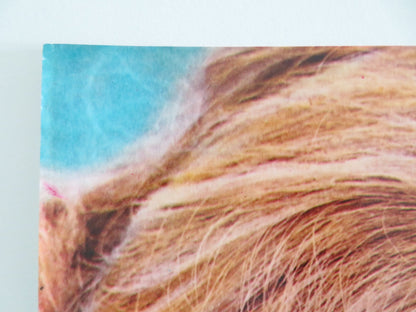 SHAMUS - F ITALIAN FOTOBUSTA POSTER BURT REYNOLDS DYAN CANNON 1973 Rendezvous Cinema Movie posters