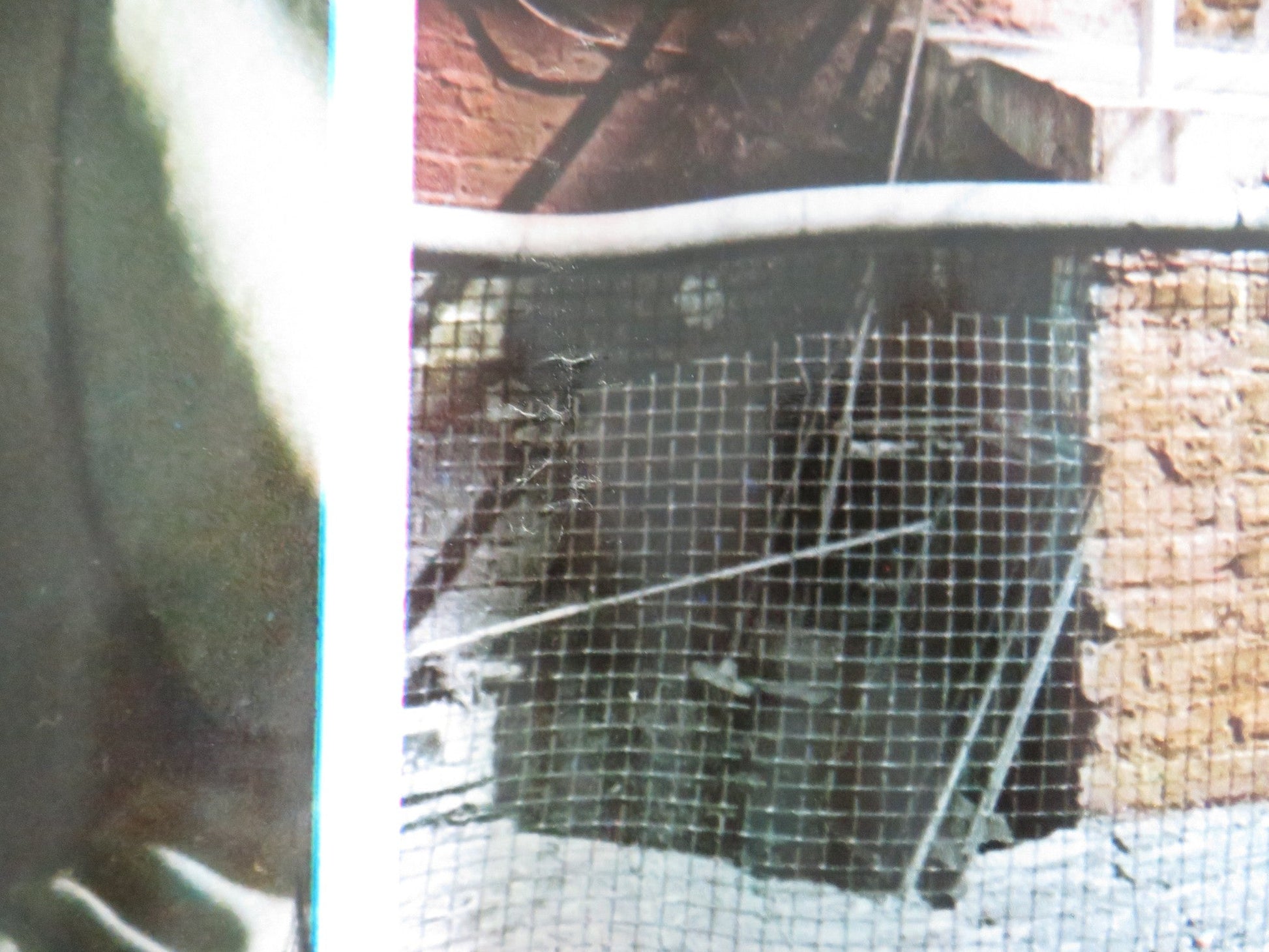 SHAMUS - H ITALIAN FOTOBUSTA POSTER BURT REYNOLDS DYAN CANNON 1973 Rendezvous Cinema Movie posters