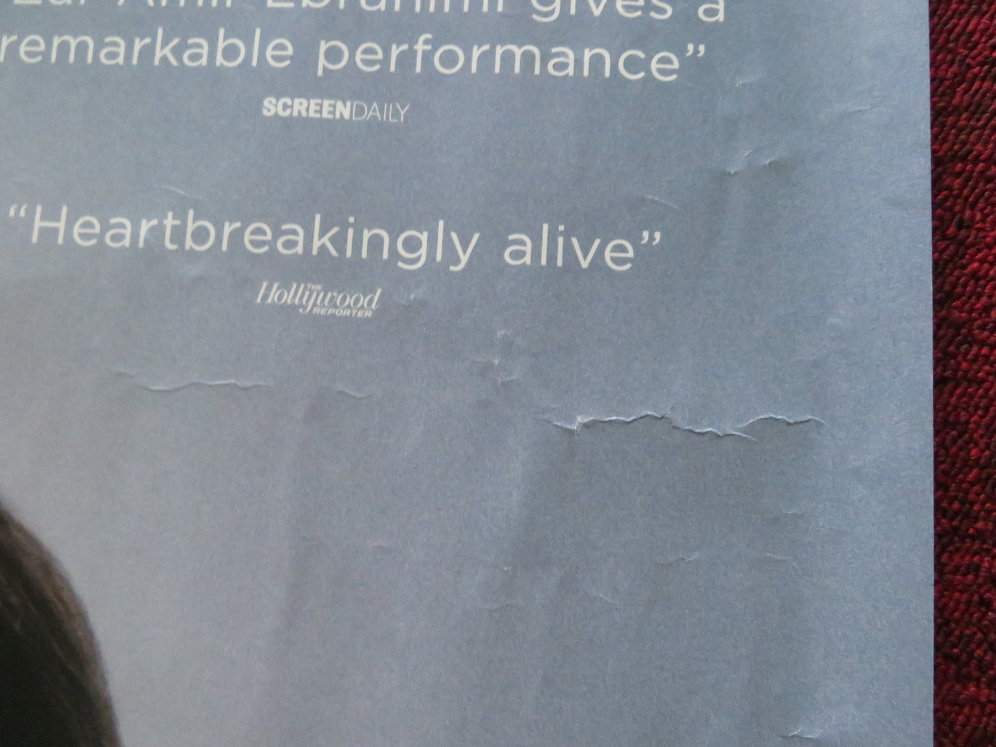 SHAYDA UK QUAD ROLLED POSTER ZAR AMIR EBRAHIMI LEAH PURCELL 2023 Rendezvous Cinema Movie posters