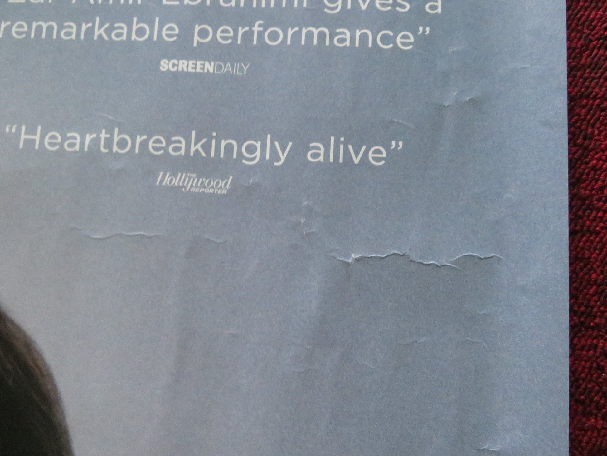 SHAYDA UK QUAD ROLLED POSTER ZAR AMIR EBRAHIMI LEAH PURCELL 2023 Rendezvous Cinema Movie posters