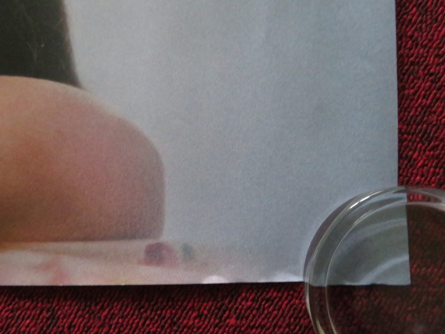 SHAYDA UK QUAD ROLLED POSTER ZAR AMIR EBRAHIMI LEAH PURCELL 2023 Rendezvous Cinema Movie posters