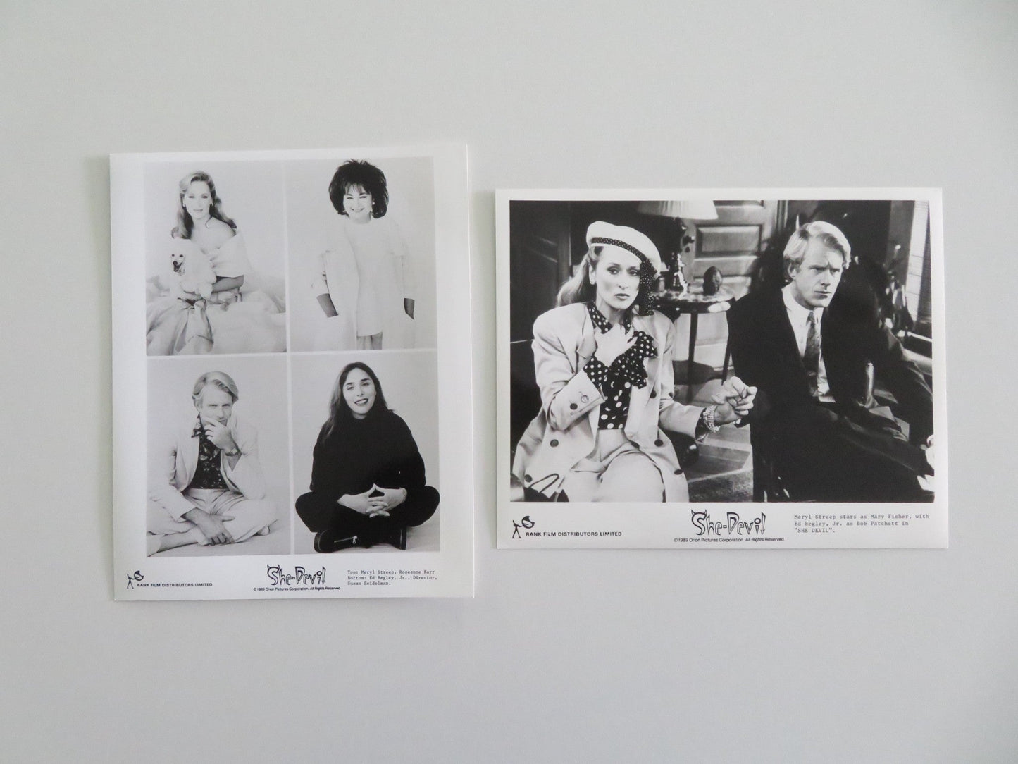 SHE - DEVIL MOVIE STILL PHOTO LOT OF 10 ROSEANNE BARR MERYL STREEP 1989 Movie posters