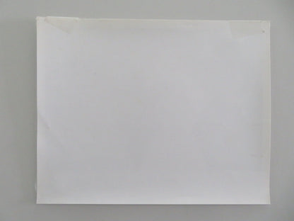 SHE DEVIL MOVIE STILL PHOTO MERYL STREEP ROSEANNE BARR 1989 Movie posters