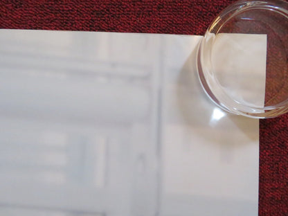 SHE SAID - B UK QUAD ROLLED POSTER CAREY MULLIGAN ZOE KAZAN 2022 Rendezvous Cinema Movie posters