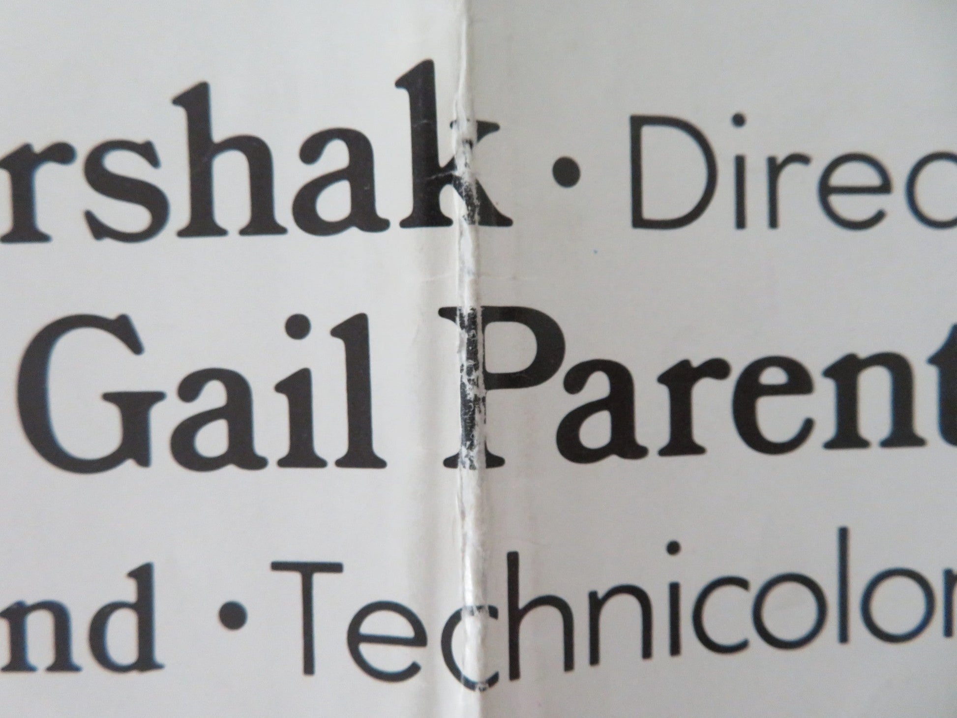 SHEILA LEVINE IS DEAD AND LIVING IN NEW YORK FOLDED US ONE SHEET POSTER 1975 Movie posters