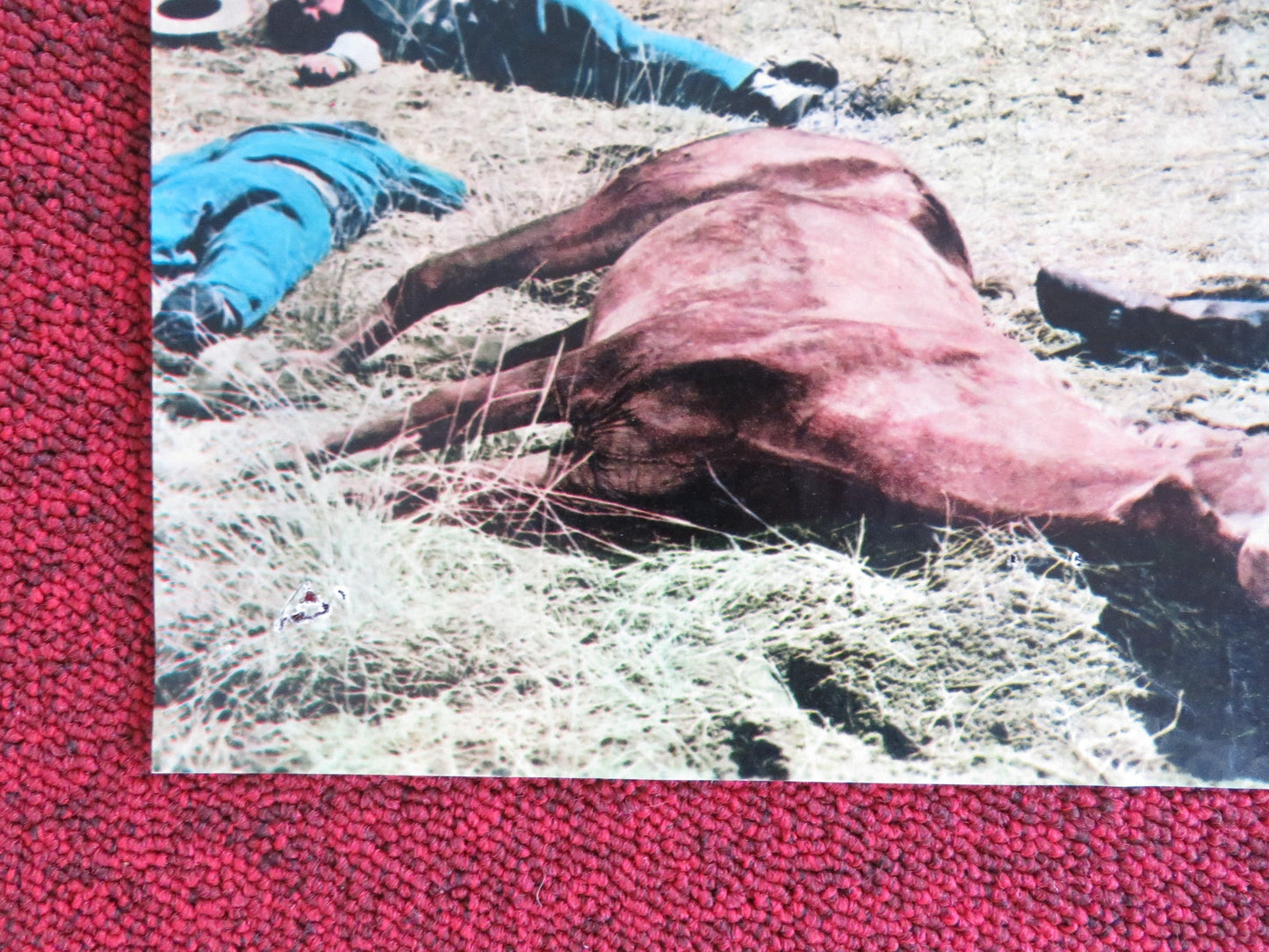 SHENANDOAH - E ITALIAN FOTOBUSTA POSTER JAMES STEWART DOUG MCCLURE 1965 Rendezvous Cinema Movie posters