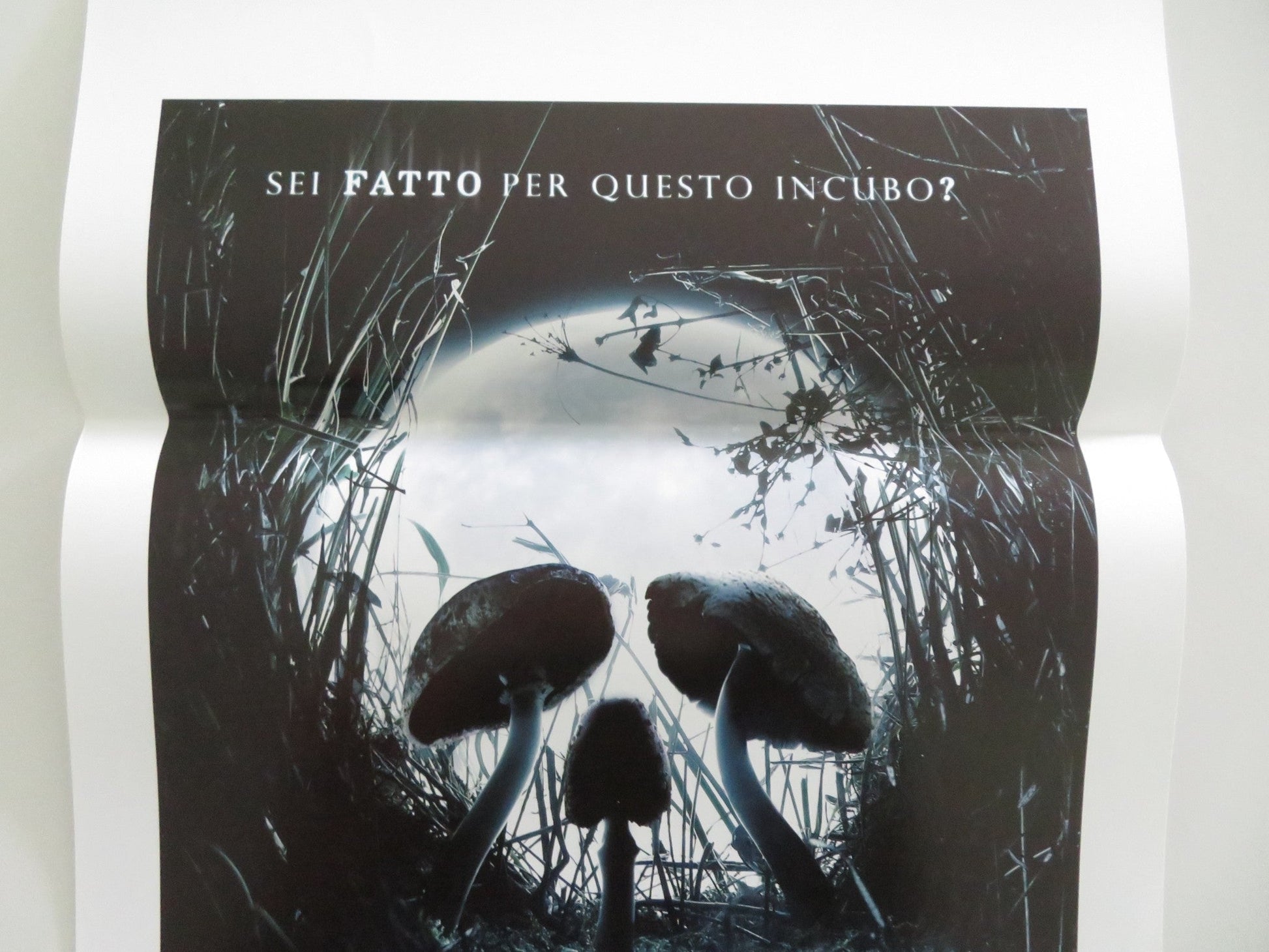 Shrooms Italian Locandina Poster Lindsey Haun Jack Huston 2007 Movie posters