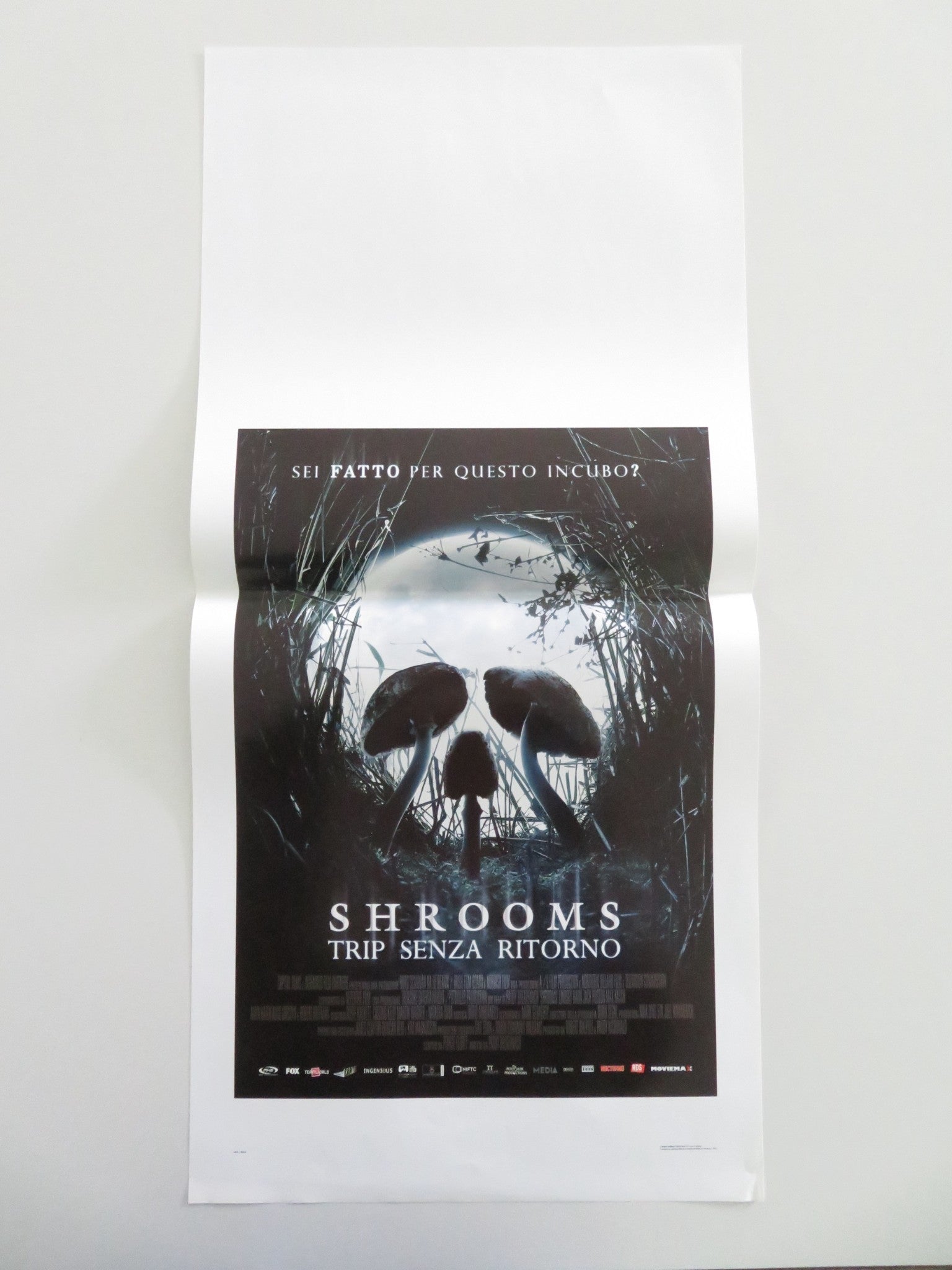 Shrooms Italian Locandina Poster Lindsey Haun Jack Huston 2007 Movie posters