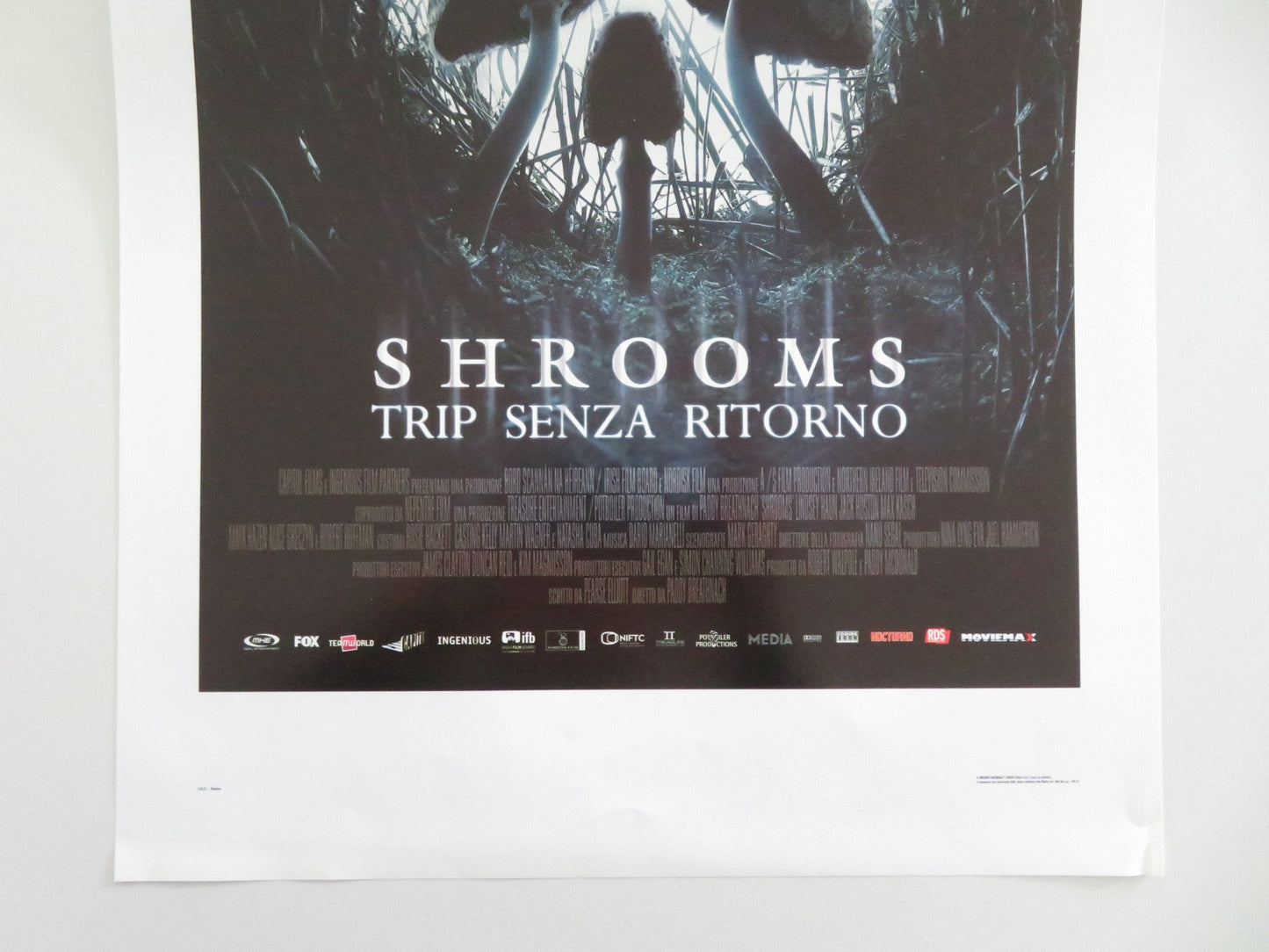 Shrooms Italian Locandina Poster Lindsey Haun Jack Huston 2007 Movie posters