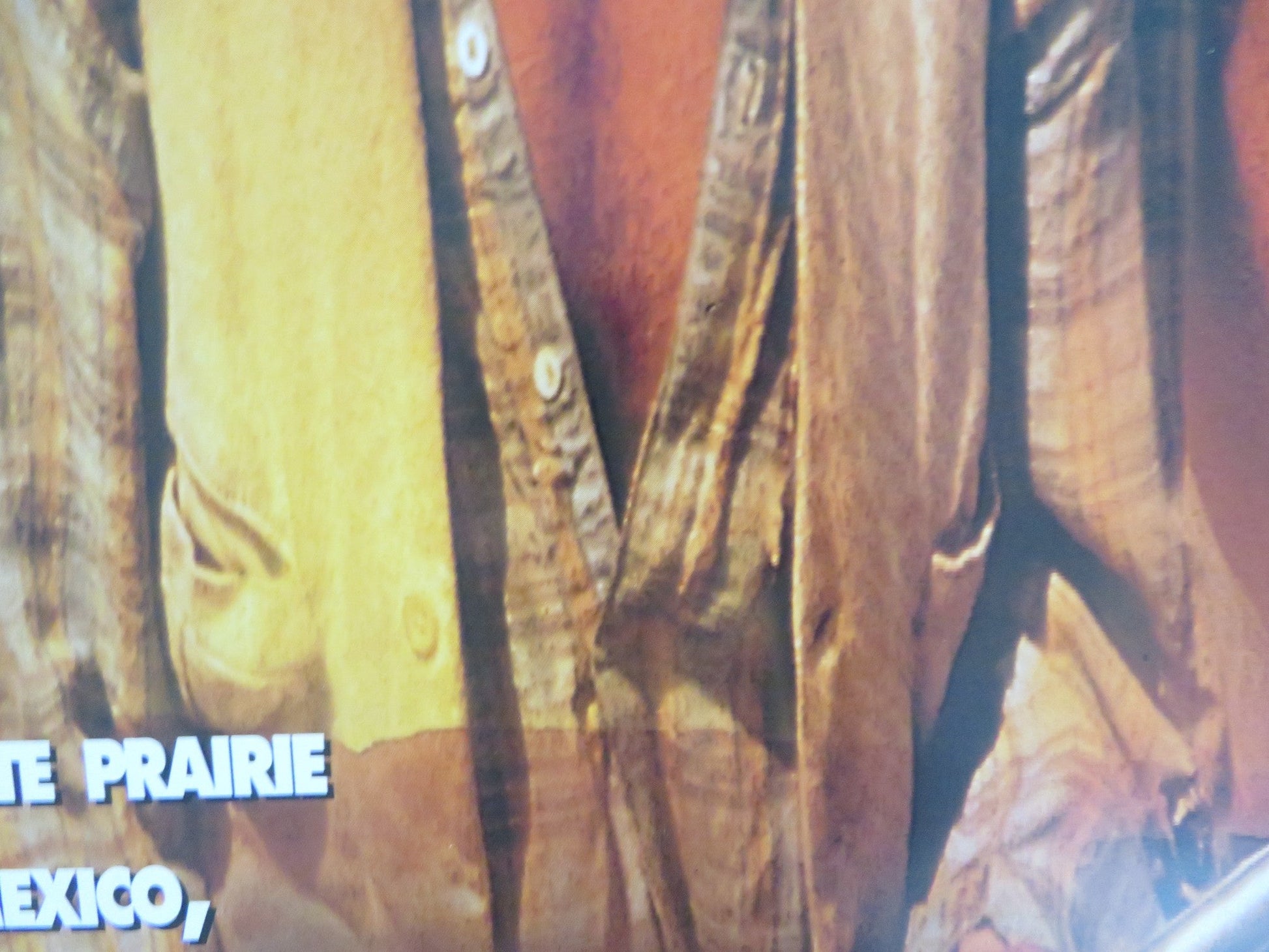 SILENT TONGUE VHS POSTER ROLLED RICHARD HARRIS RIVER PHOENIX 1993 Rendezvous Cinema Movie posters