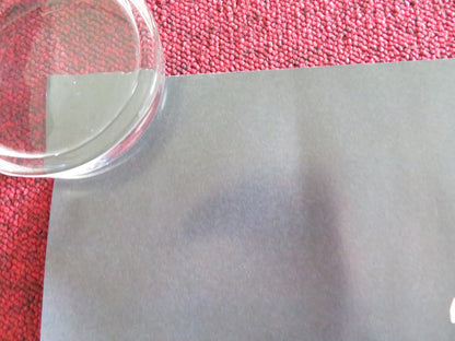 SING SING UK QUAD ROLLED POSTER COLMAN DOMINGO CLARENCE MACLIN 2023 Rendezvous Cinema Movie posters