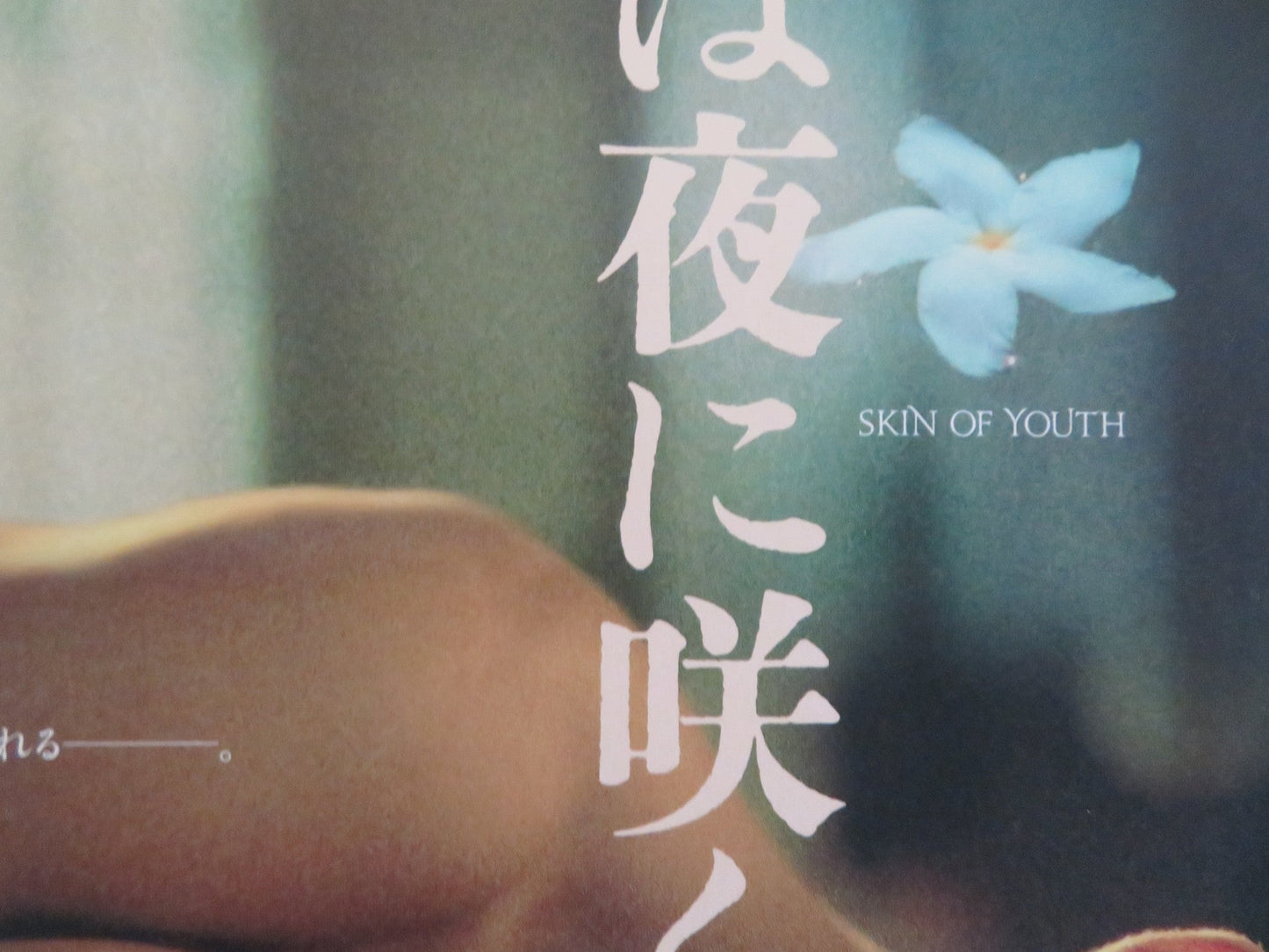 SKIN OF YOUTH JAPANESE CHIRASHI (B5) POSTER VO DIEN GIA HUY 2025 Rendezvous Cinema Movie posters
