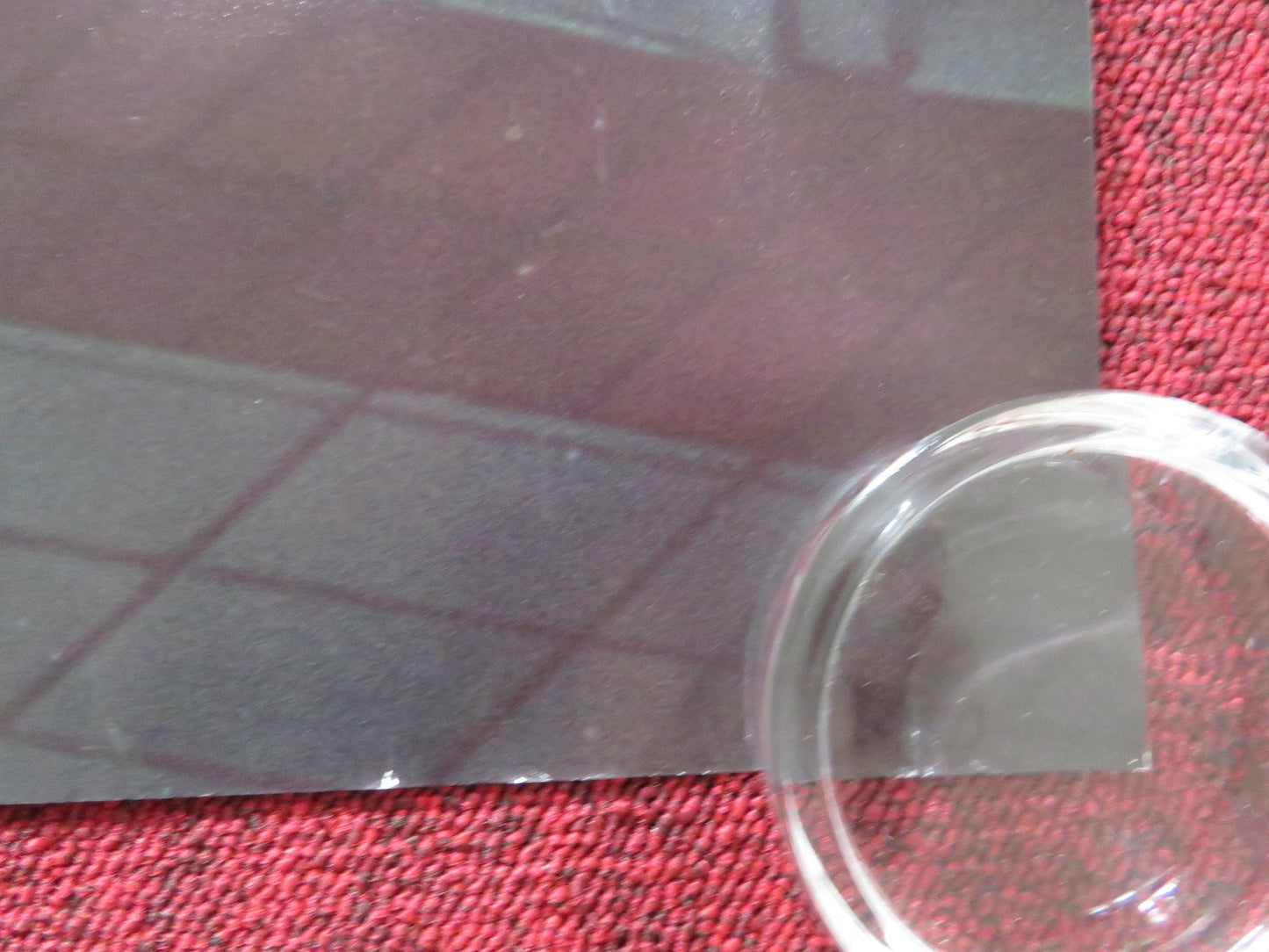 SKY PEALS UK QUAD ROLLED POSTER FARAZ AYUB NATALIE GAVIN 2023 Rendezvous Cinema Movie posters