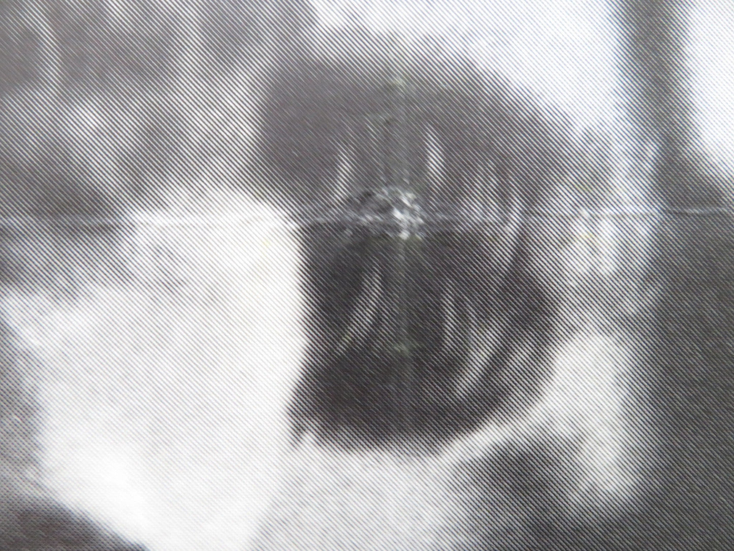 SKY WITHOUT STARS DANISH POSTER ROLLED ERIK SCHUMAN EVA KOTTHAUS 1956 Rendezvous Cinema Movie posters