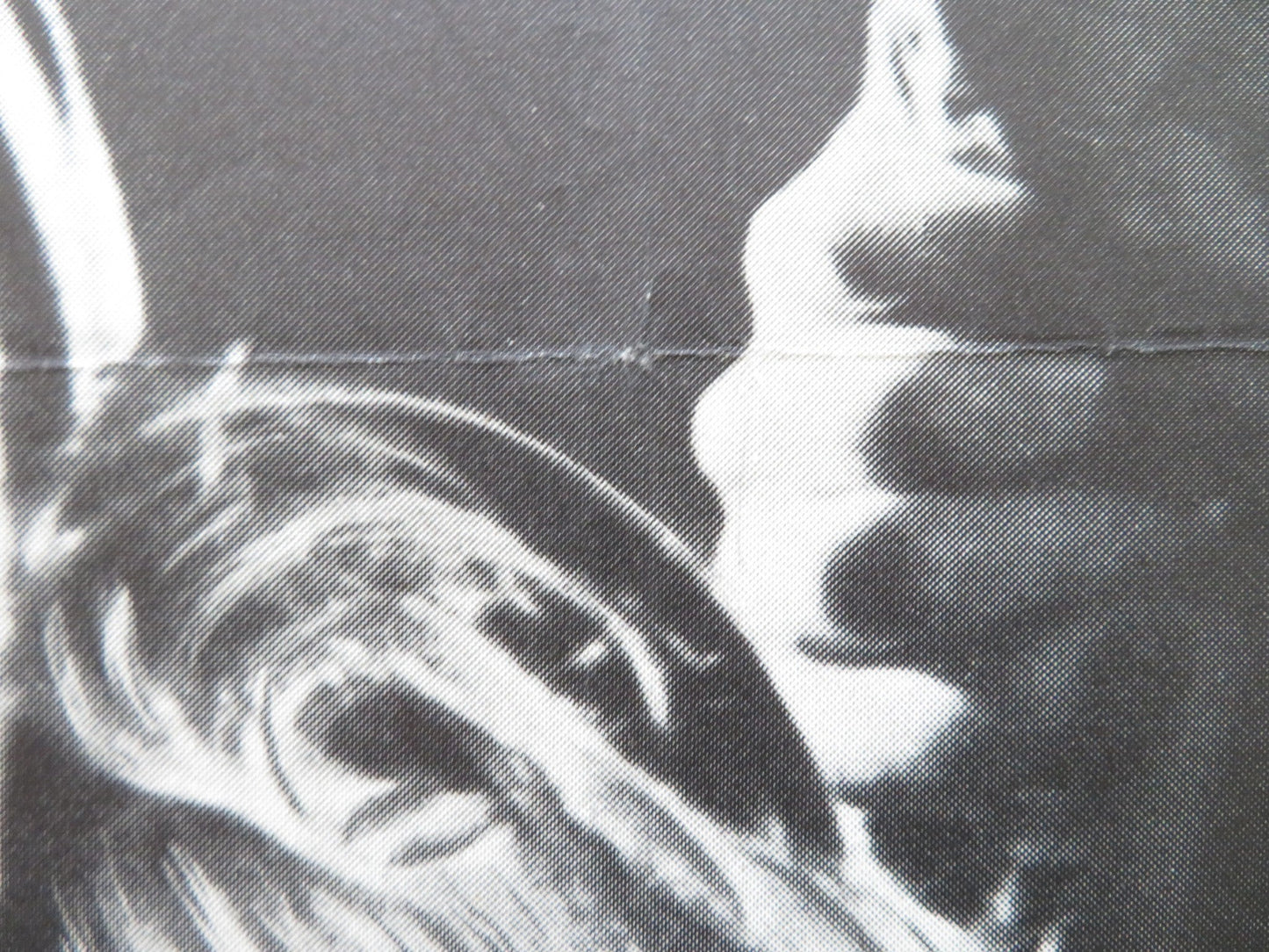 SKY WITHOUT STARS DANISH POSTER ROLLED ERIK SCHUMAN EVA KOTTHAUS 1956 Rendezvous Cinema Movie posters