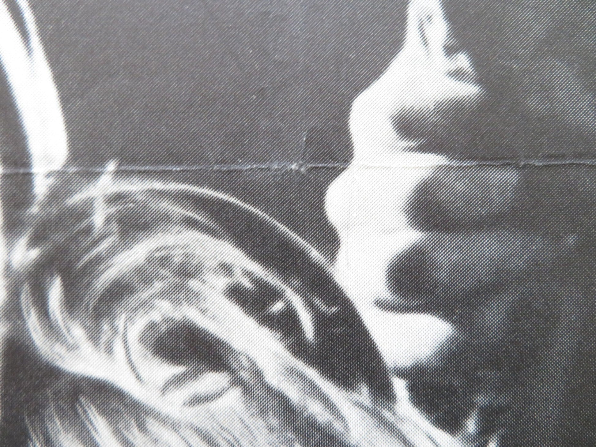 SKY WITHOUT STARS DANISH POSTER ROLLED ERIK SCHUMAN EVA KOTTHAUS 1956 Rendezvous Cinema Movie posters