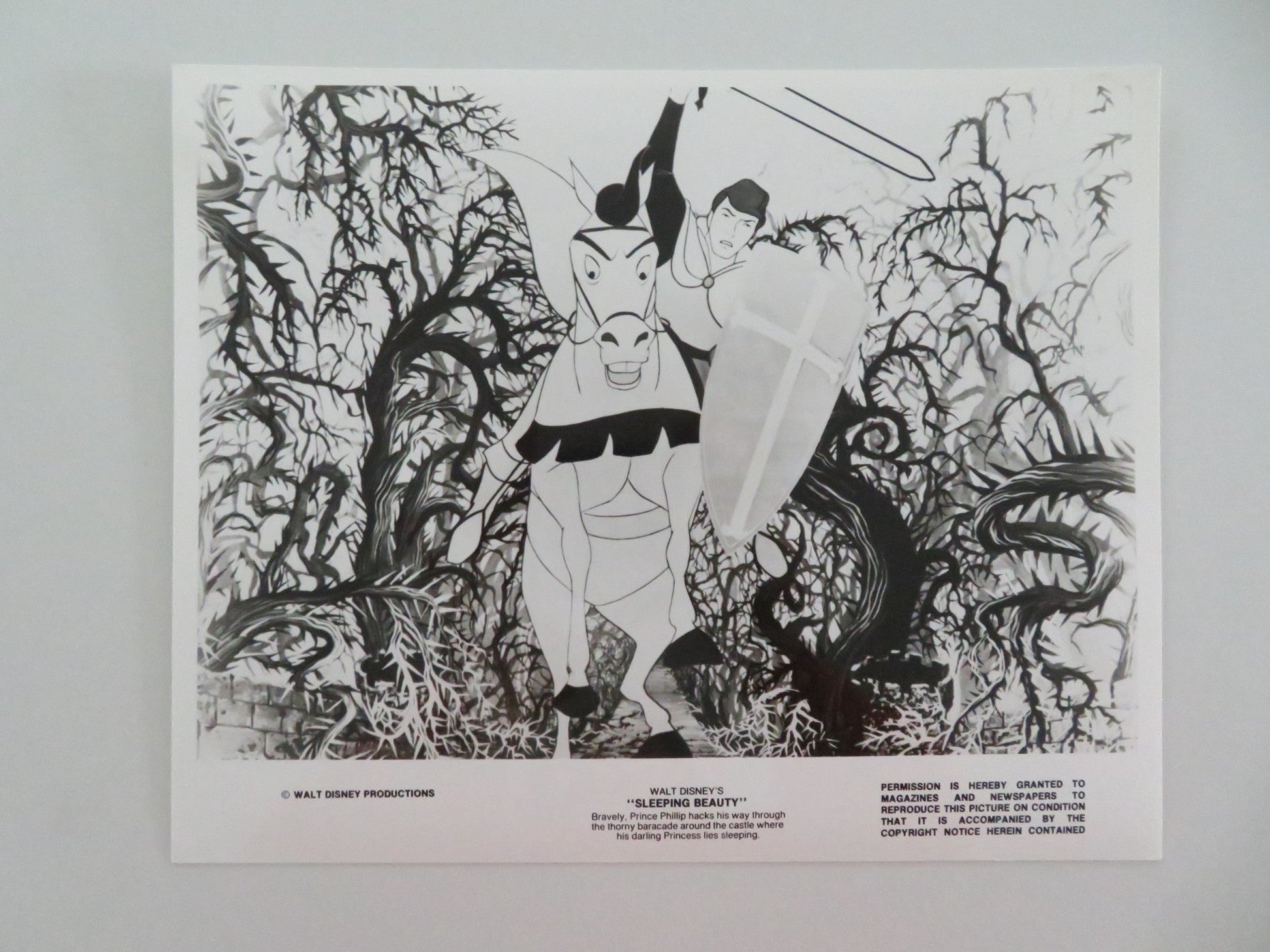 SLEEPING BEAUTY MOVIE STILL PHOTO LOT OF 2 DISNEY MARY COSTA BILL SHIRLEY Movie posters